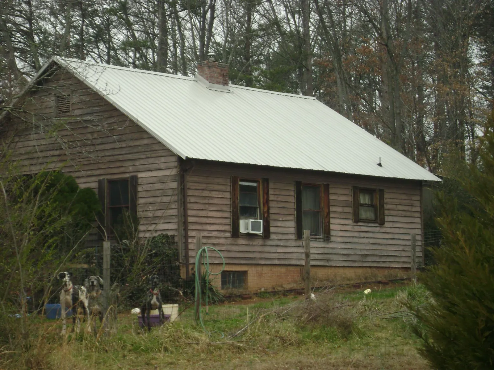 White metal roof on an old wood sided farmhouse, from a Asphalt Shingle Roof Repair job in Coldwater